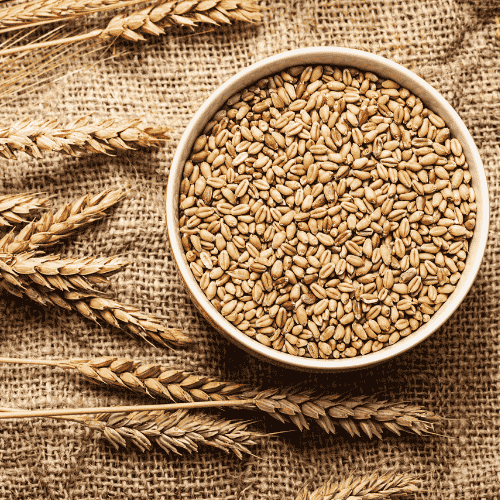 Premium Grains & Seeds1