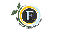 Fema Tech
