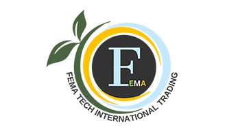 Fema Tech
